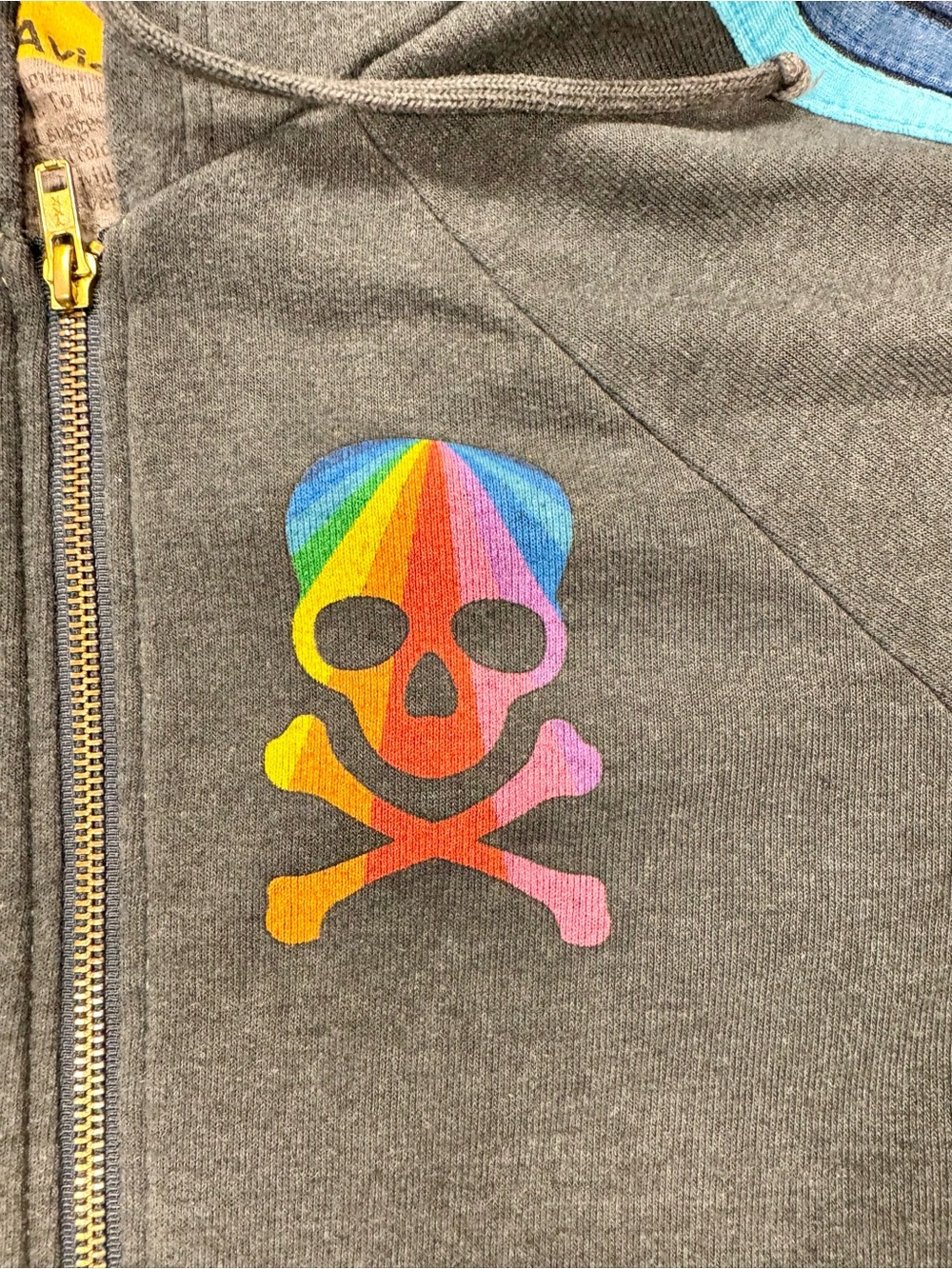 Aviator Nation Hamptons Rainbow Skull Zip Hoodie Gray Medium USA Made - Picture 3 of 8